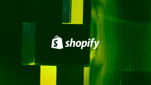 Shopify Developer Partner