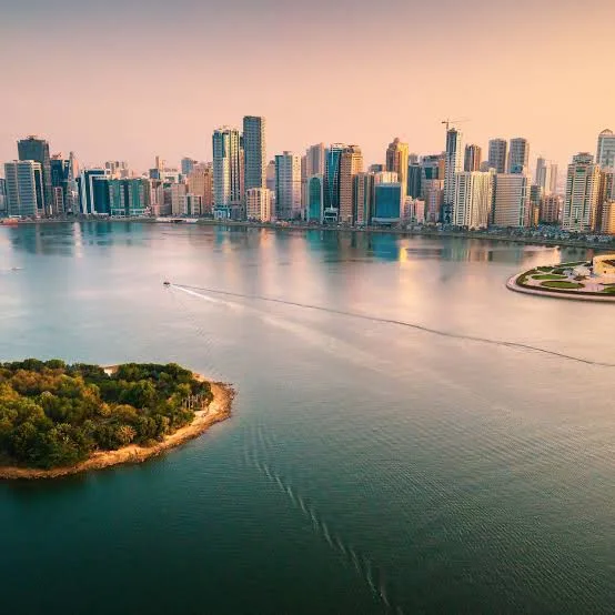 Top 10 Website Development Companies in Sharjah