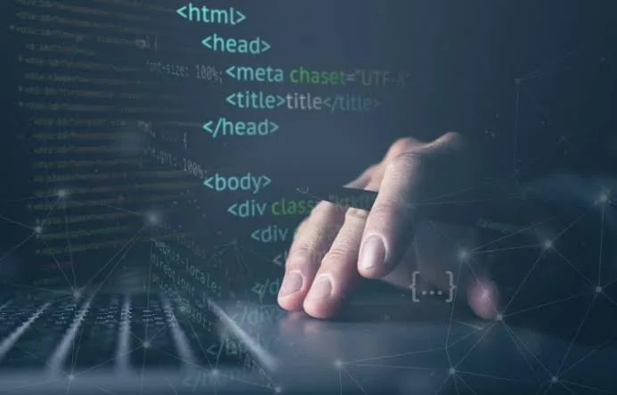 شركة تطوير WordPress في دبي: موقع تستطيع شركتك تشغيله والنمو من خلاله